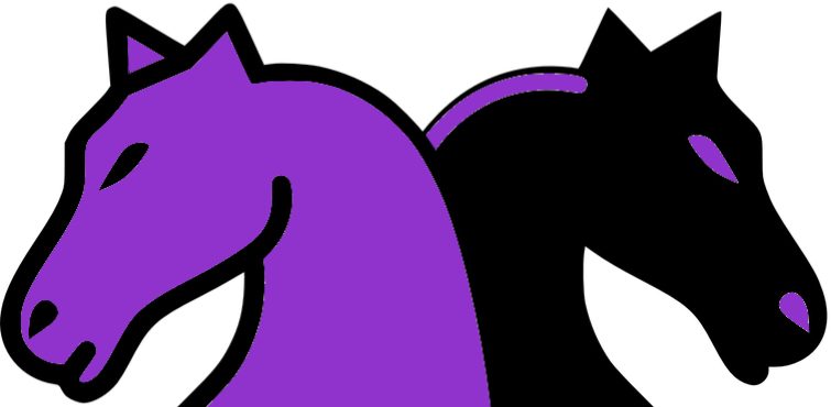 Purple Pony Epoxy Floor Coatings